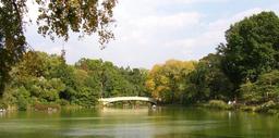 central-park-new-york-city-nyc-pond-470977.jpg