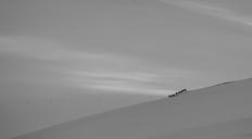 winter-landscape-snow-minimalist-411752.jpg