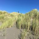 sand-dunes-beach-cliff-sea-sand-1708811.jpg