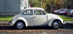 vw-beetle-vw-vintage-car-533554.jpg