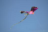 flying-kite-autumn-sky-wind-1017220.jpg