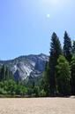 yosemite-california-forest-sun-558972.jpg