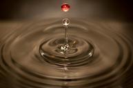 water-drop-dropping-splashing-384634.jpg