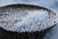 ice-crystals-trunk-tree-frost-581237.jpg