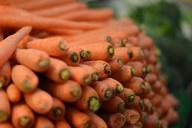 carrots-vegetable-healthy-fresh-731435.jpg