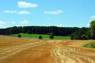 farmland-farm-field-farm-field-1556085.jpg