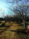 park-nature-bench-outdoor-autumn-543121.jpg