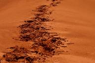 steps-footsteps-sand-906334.jpg