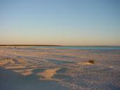 Shell beach shark bay.jpg