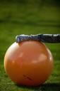 ball-gym-fitness-orange-stretchig-595602.jpg