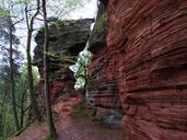 red-rock-landscape-rock-palatinate-664599.jpg