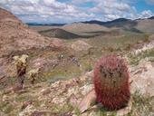 arizona-landscape-sky-clouds-92346.jpg