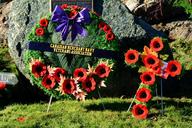 remembrance-day-lest-we-forget-poppy-1242863.jpg