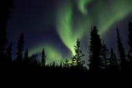 aurora-borealis-northern-lights-sky-1065026.jpg