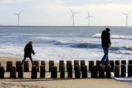 beach-zealand-wood-people-children-1185253.jpg