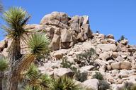 Boulders_along_the_Wall_Street_Mill_trail.jpg