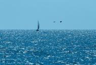 lake-horizon-blue-boot-sky-ship-650268.jpg