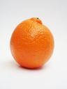 minneola-citrus-fruit-grapefruit-74300.jpg