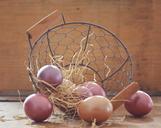 easter-eggs-egg-colored-colorful-1234586.jpg