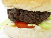 hamburger-meat-junk-food-food-fast-350091.jpg