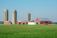 farm-silos-agriculture-rural-barn-1305828.jpg