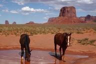 monument-valley-national-park-1088494.jpg