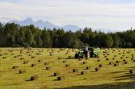 farm-hay-grass-tractor-bale-945352.jpg