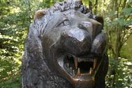 lion-metal-tooth-baring-teeth-424434.jpg