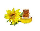 sunflower-sunflower-oil-oil-744232.jpg