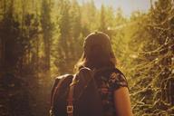 hiker-hiking-nature-hipster-846094.jpg