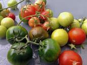 tomatoes-vegetables-garden-913010.jpg