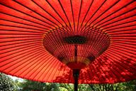 umbrella-parasol-red-protection-1031413.jpg