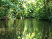 costa-rica-tortuguero-jungle-178528.jpg