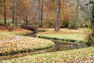 park-autumn-river-nature-fall-472879.jpg