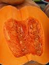 pumpkin-sliced-pulp-vegetables-73930.jpg