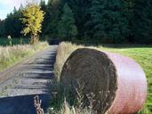 straw-autumn-harvest-61206.jpg