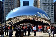 chicago-bean-bean-arts-metallic-329248.jpg