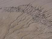 mud-brown-estuary-texture-drainage-434291.jpg