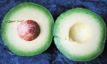 avocado-cross-section-pulp-healthy-1328986.jpg