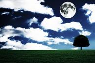 full-moon-landscape-fantasia-tree-496236.jpg