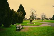 park-trees-bench-memorial-green-743774.jpg