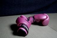 boxing-gloves-sport-pink-glove-415394.jpg