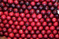 cherries-fruit-power-sweet-cherry-643000.jpg