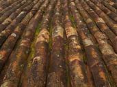 roof-tiles-pattern-old-tiles-roof-301470.jpg