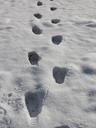 footprints-snow-prints-snow-winter-536988.jpg