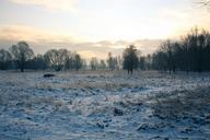 winter-landscape-snow-cold-659936.jpg