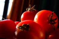 tomatoes-vegetables-food-fresh-390242.jpg