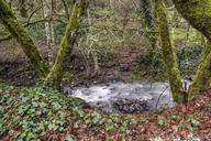 Stream at the Bale Grist Mill, now a California Historic Park, operated by the Napa County Regional Park and Open Space District on California Highway 29 between St. Helena and Calistoga, California LCCN2013630857.tif.tiff