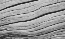 wood-texture-grain-wood-texture-1192952.jpg