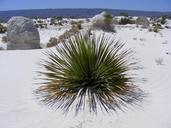 mexico-cuatro-cinegas-white-desert-194832.jpg